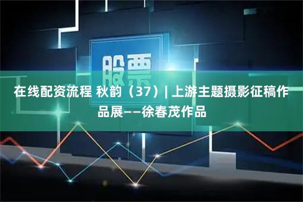 在线配资流程 秋韵（37）| 上游主题摄影征稿作品展——徐春茂作品